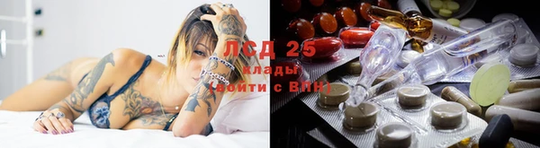 бошки Няндома