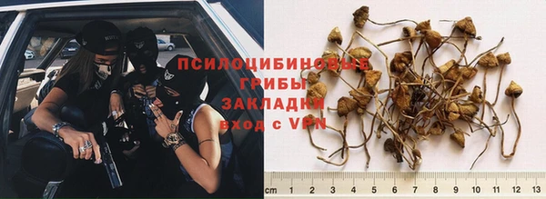 гидра Верея