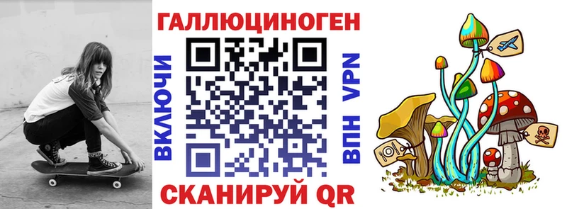 Псилоцибиновые грибы GOLDEN TEACHER Белгород